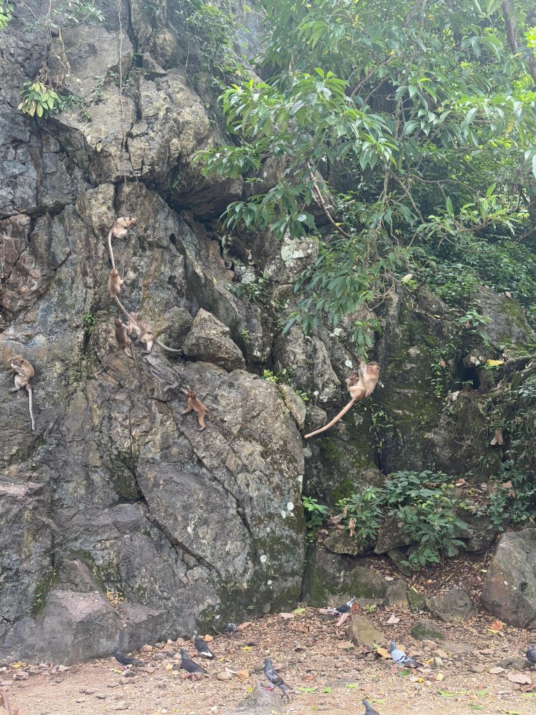 phuket thailanda excursie james bond monkey cave