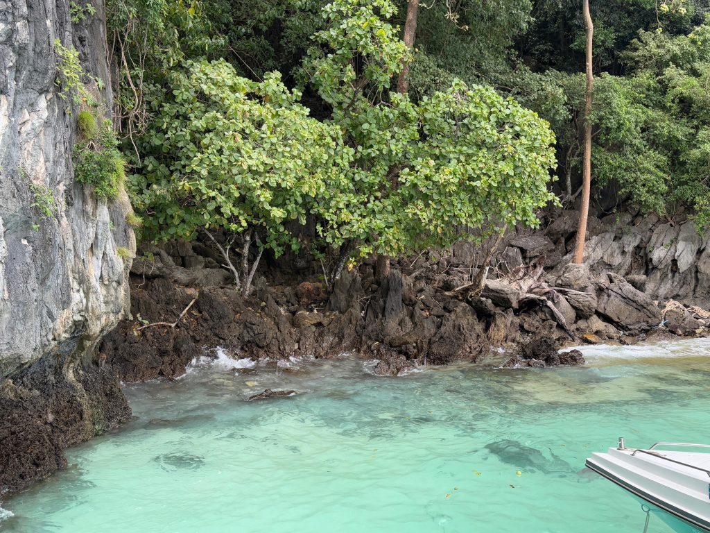 phuket thailanda excursie monkey beach phi phi