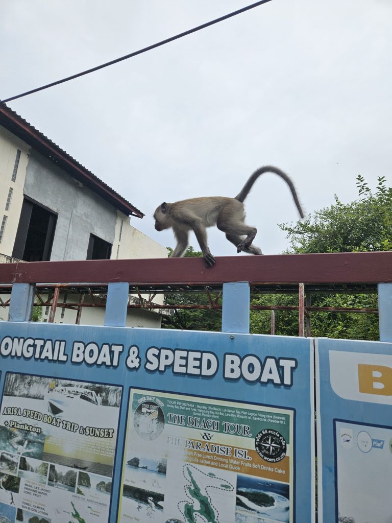 phuket thailanda excursie phi phi 