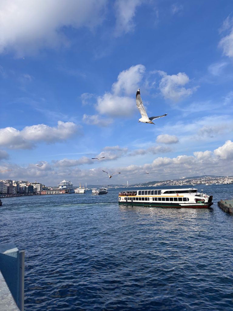 ce faci o zi in istanbul podul galata