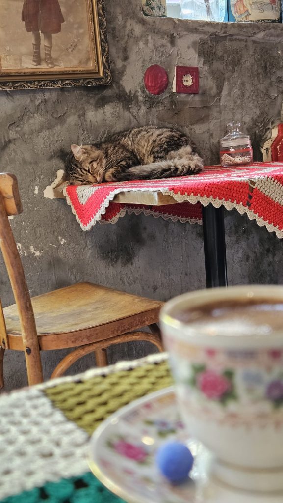 unde mancam in balat istanbul